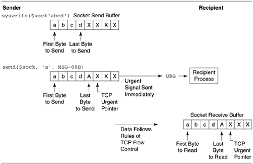 graphics/17fig01.gif