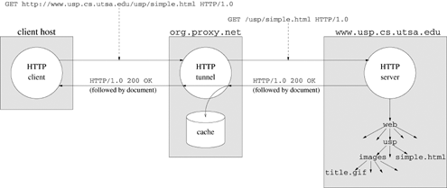 graphics/19fig08.gif